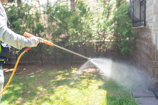 Best Pest Removal Services  in Versailles, OH